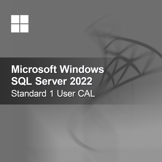 Microsoft SQL Server 2022 Standard 1 Utente CAL